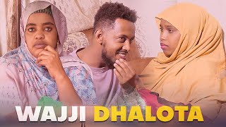 Faya Jiru  Wajji Dhalota  New movie Afaan Oromo  2024 [upl. by Zaneta]