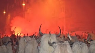 Carnaval Alsasua 2016  Television Navarra [upl. by Benji]