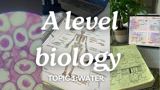 A level biology edexcel a SNAB Topic 1 Water [upl. by Ashford]