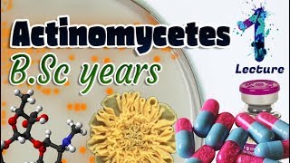 Actinomycetes  Characteristics  Importances  Identification BSc 3st year 🧫💊🔬 [upl. by Eintrok257]