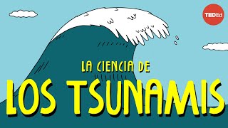 Cómo funcionan los tsunamis  Alex Gendler [upl. by Groscr474]