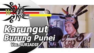 SURIADIE  Karungut Burung Punei [upl. by Animehliw]