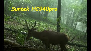 Spring 2024 with Suntek HC940pro Hunting cam [upl. by Marras]