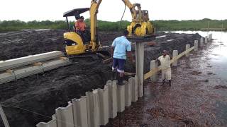 Driving Vinyl Sheet Piling in Belize [upl. by Enitselec]