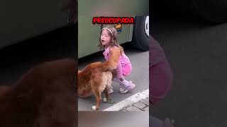 El perrito se gano el corazon de todos❤️👏 [upl. by Naihr]