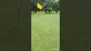 Golf Chipping  Poona Golf Course  Amex Platinum  SBI Aurum [upl. by Gney155]