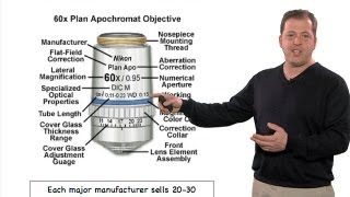 Microscopy Features of an Objective Stephen Ross [upl. by Barcus605]