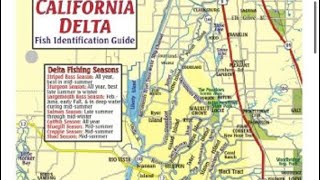 California Delta BEST bass fishing top 5 baits  lures to fish [upl. by Lleznod291]