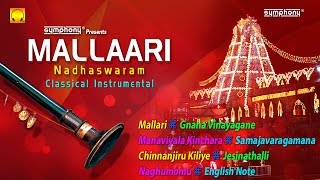 Nadhaswaram Music  Mangala Vadyam  Nadaswaram Thavil Music [upl. by Ocsirf]