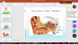 Anatomia del sistema respiratorio [upl. by Bilski]