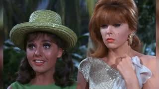 Most People Missed The Giant Blooper In This Gilligans Island Scene [upl. by Akemaj]