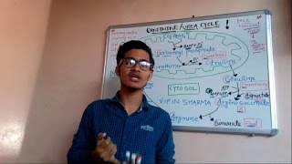 Trick to remember ornithineurea cycle for NEETAIIMS JIPMER IIT JAM BLBT  GATE  NETJRF [upl. by Eniarda722]