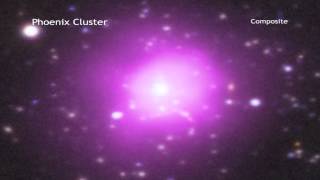 Star Resurrecting Phoenix Cluster Astounds Astronomers  Video [upl. by Assadah547]