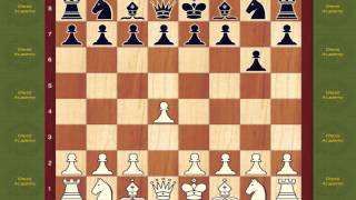 Chess Opening Book Modern Defense 1 d4 g6 Opening [upl. by Humfried]