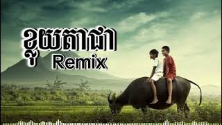 ខ្លុយតាជា Remix khmer song mix 🎵 [upl. by Zelig]