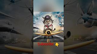 A pilot cat flying plane on sky 🙀 cute cat pilot story shorts [upl. by Nnyluqcaj]