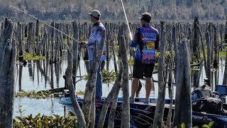 Bass Fishing a DRAINED LAKE  Rodman Reservoir  SMC Episode 1213 [upl. by Ula]