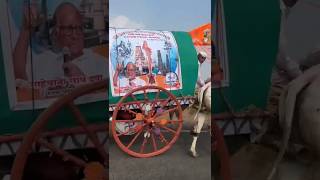 महाराष्ट्रातील खरे राजकीय चाणक्य शरद पवार साहेब maharashtra शरदपवार ytshorts politics [upl. by Ansev124]