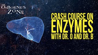 Crash Course on Enzymes with Dr O and Dr B  Dr Osbornes Zone [upl. by Koressa814]