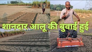 Aaloo 🥔Ki Buwai Gjb 😳🥳dayavlogs211 dailyvlog dayavlogs newvlog villagelife farmarvlog [upl. by Falda649]