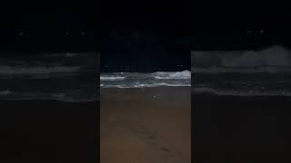 today travel 🧳 Kovalam Lalitha Mahal Palace Hotel 🏨 back side travel beach shorts subscribe [upl. by Einahpet]