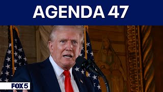 Trumps quotAgenda 47quot calls for sweeping changes to federal workforce [upl. by Enomas]