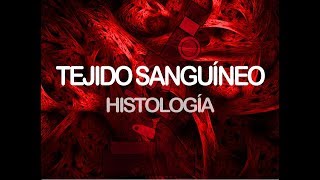 Tejido sanguíneo  Histología [upl. by Ariela]