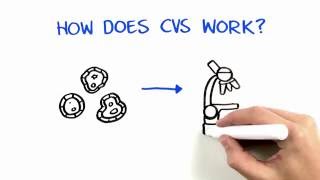 Chorionic Villus Sampling CVS [upl. by Tallbott301]