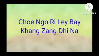 Remix Songs Sujan and Sangay vocal OFF [upl. by Irb678]