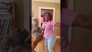 Dog dancing 4kampe youtube JulesKWorld Pikkewyne remix dancechallenge short [upl. by Lantha245]