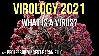 Virology Lectures 2021 1 What is a Virus [upl. by Autumn]