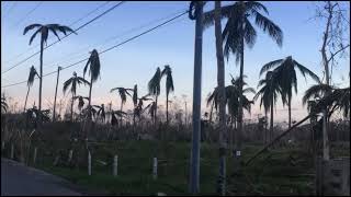 SUPER TYPHOON ODETTE HITS BOHOL  ROAD UPDATE SAGBAYAN  CARMEN  BILAR [upl. by Gonsalve]