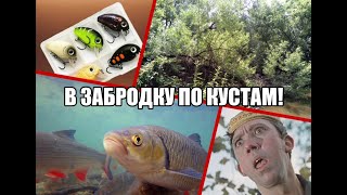 В забродку по кустам [upl. by Radmen]