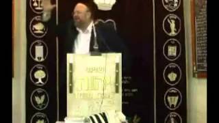 הרב ברוך רוזנבלום פרשת וישב 1 תשס״ט Rabbi Baruch Rosenblum [upl. by Oaoj]