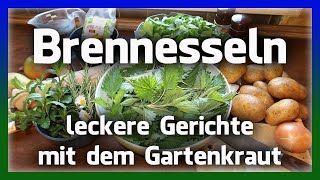 Lecker und gesund Brennnesseln aus dem Garten [upl. by Runstadler]