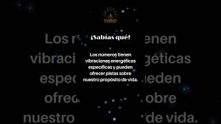 1️⃣1️⃣Numerología leydeatracccion energia numerologia universo abundancia [upl. by Dekeles]