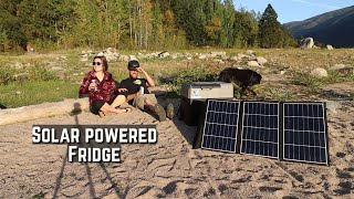 Battery Powered Portable Fridge for Adventures  AcoPower X40 Solar Powered Fridge Freezer [upl. by Nedia]