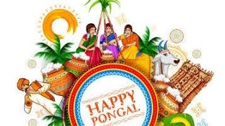 NMHSS Pongal [upl. by Hairahcez]