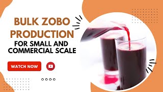 HOW TO MAKE ZOBO DRINKSTARTING A ZOBO BUSINESSNO SUGAR FRUITY ZOBO DRINK zobo zerosugarzobo [upl. by Bigg548]