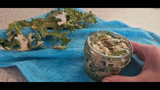 How I tincture Lungwort Lichen [upl. by Hilde]