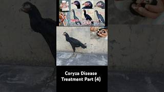 Coryza Disease Symptoms Causes And Treatment [upl. by Attwood900]