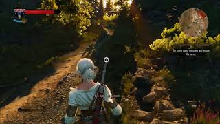 Witcher 3 Ciris Story Get to the Top of the Tower [upl. by Ecaidnac]