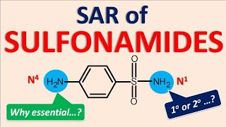 Structural Activity Relationship SAR of Sulfonamides [upl. by Alletneuq]