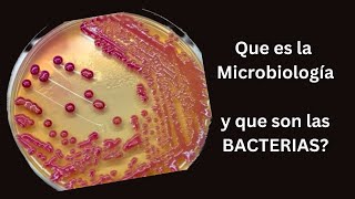 Que es la Microbiologia y que son los Bacterias [upl. by Nolly]