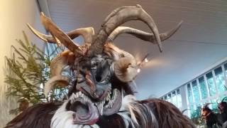 50 Jahre Jubiläumsausstellung der Alt Gnigler Krampus Perchten Pass [upl. by Brnaby]