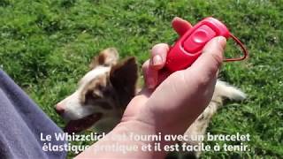 Whizzclick Clix combine un clicker et un sifflet idéal pour le dressage de votre chien [upl. by Arata]