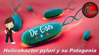 Helicobacter pylori [upl. by Noved]