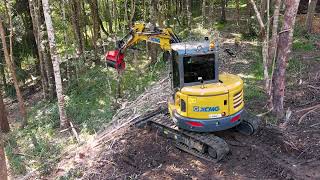 Fecon FMX36 Excavator Mulcher  with Beaver Mulching [upl. by Nomrac]