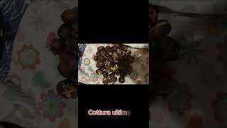 Castagne cotte nella friggitrice ad aria Cosori da 12 litri [upl. by Keifer741]