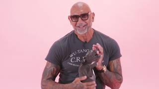 Dave Bautista The Puppy Interview [upl. by Jahdal368]